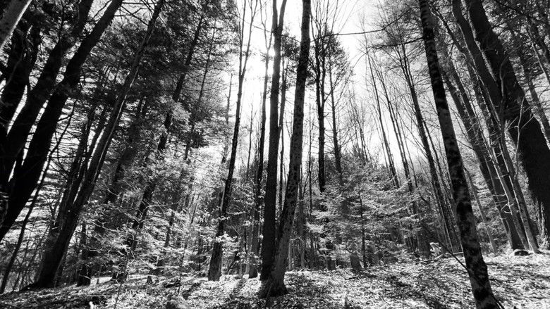 кадр из фильма the creek