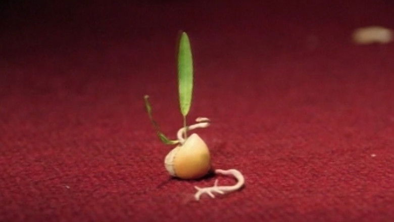 кадр из фильма A Love Story