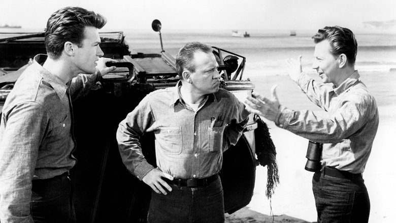 Фрэнсис на флоте