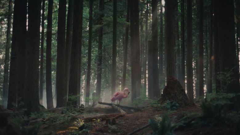 кадр из фильма Sitting Bird