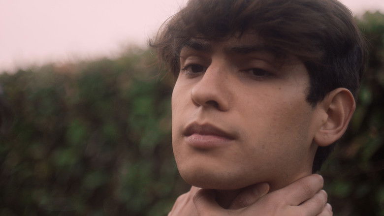 кадр из фильма The Expanding Horizon