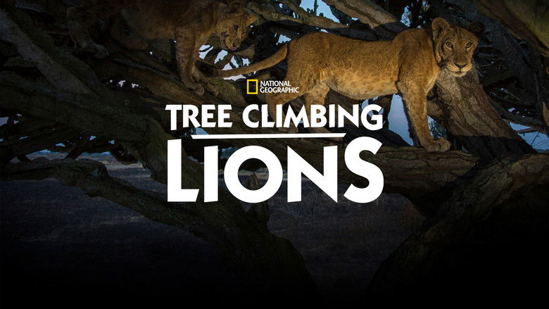 кадр из фильма Tree Climbing Lions