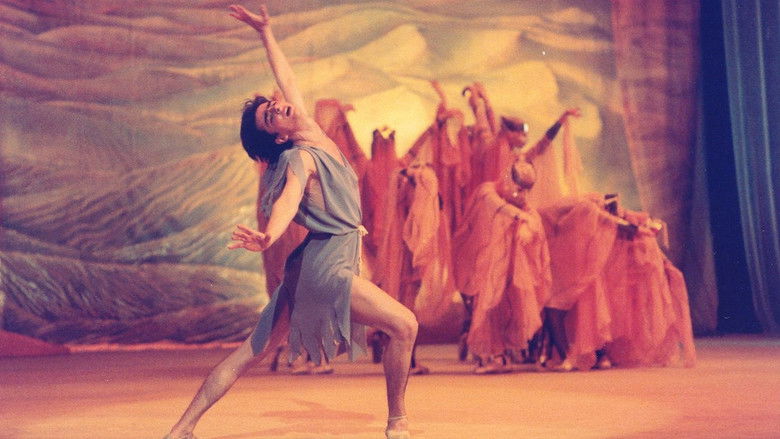 кадр из фильма Лейли и Меджнун