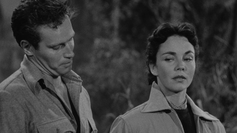 кадр из фильма Ruby Gentry