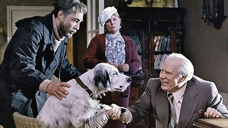 кадр из фильма Белый Бим Чёрное ухо