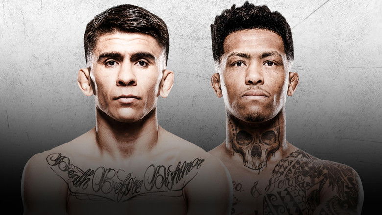 кадр из фильма UFC Fight Night 266: Баутиста vs. Оливейра