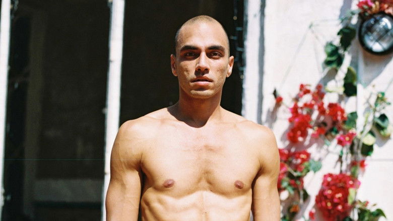 кадр из фильма Bello