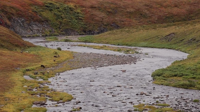 кадр из фильма Дыхание тундры