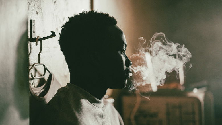 кадр из фильма Animol