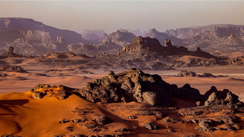 кадр из фильма Lungo la pista dei contrabbandieri