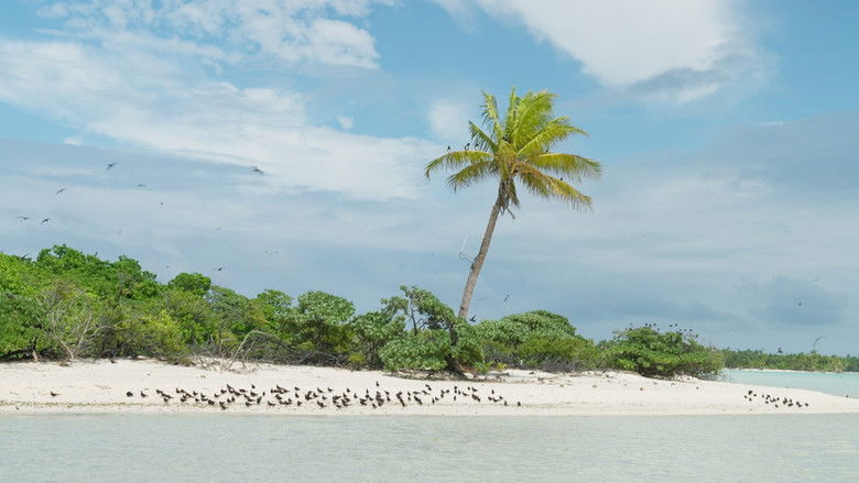 кадр из фильма Marlon Brando: Im Paradies