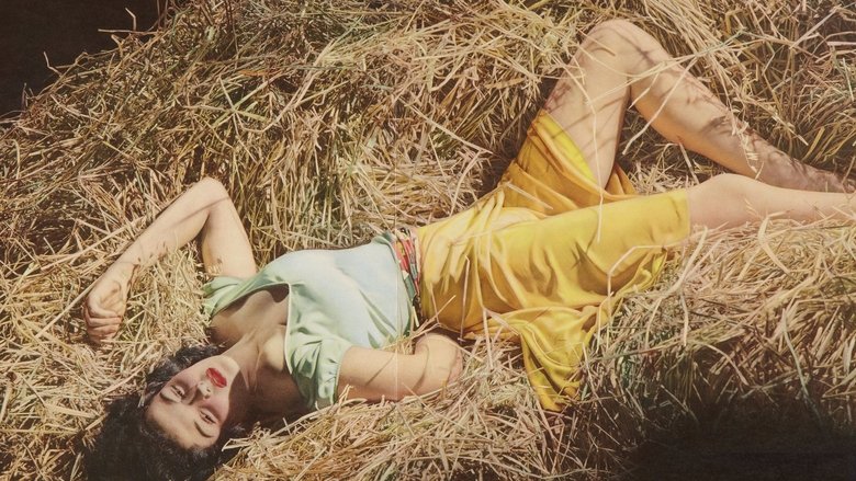 кадр из фильма Вне закона