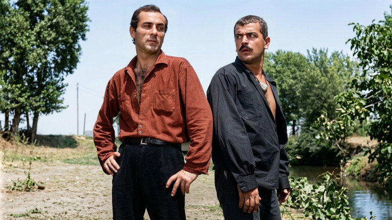 кадр из фильма Çelik Bilek