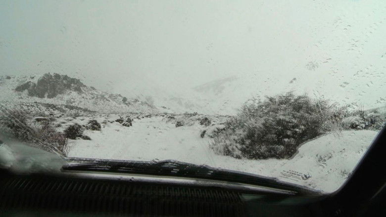 кадр из фильма Newen