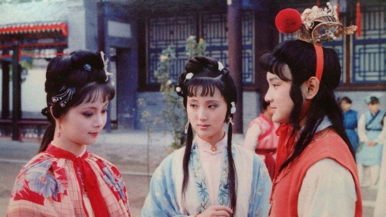 кадр из фильма 金玉良緣紅樓夢