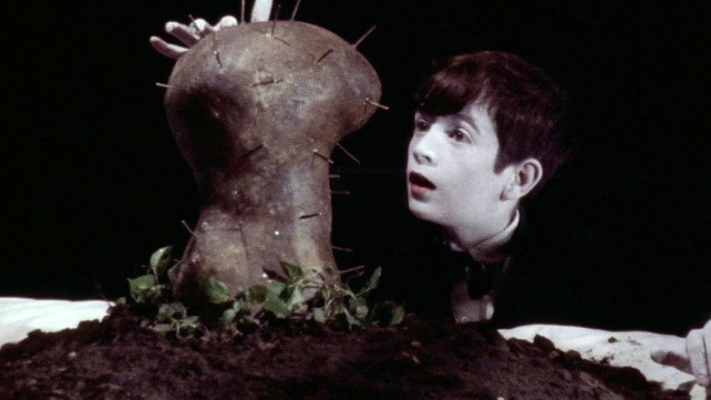 кадр из фильма Бабушка