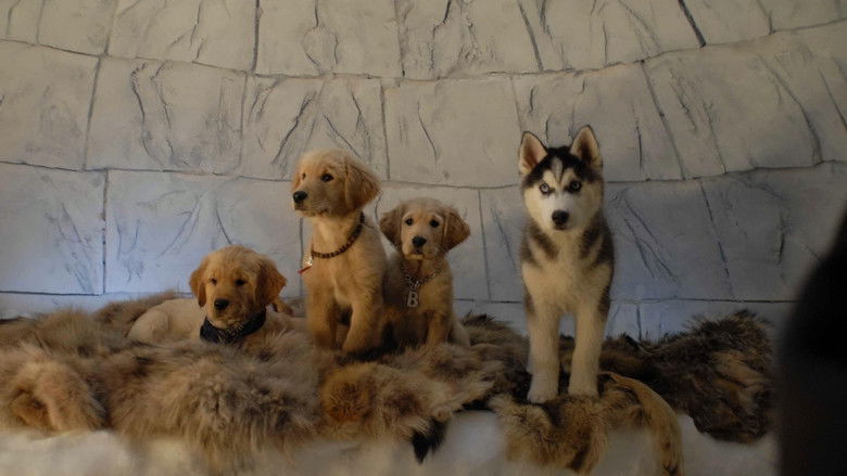 кадр из фильма Снежная пятёрка