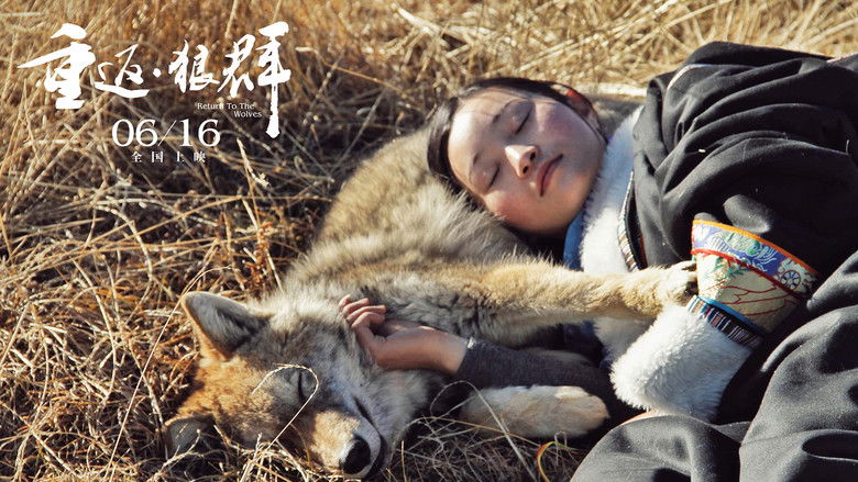 кадр из фильма 重返·狼群