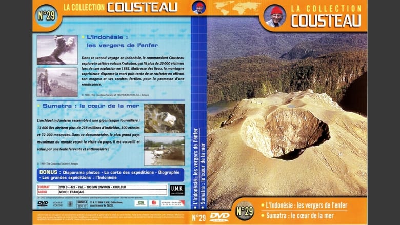 кадр из фильма La collection Cousteau N°29 | L'Indonésie : les vergers de l'enfer | Sumatra : le cœur de la mer