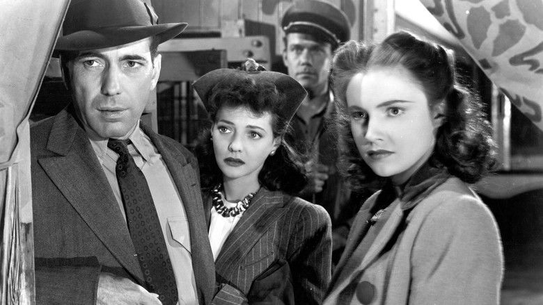 Поезда проезжают ночью