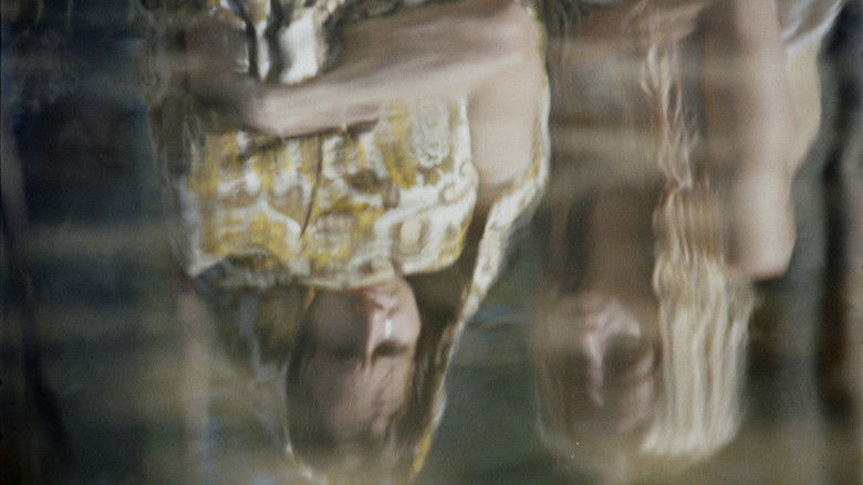 кадр из фильма Keskiyön auringosta ikuisuuteen