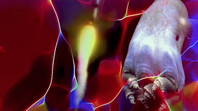 кадр из фильма Cycles