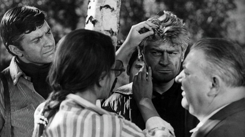 кадр из фильма Последний свидетель