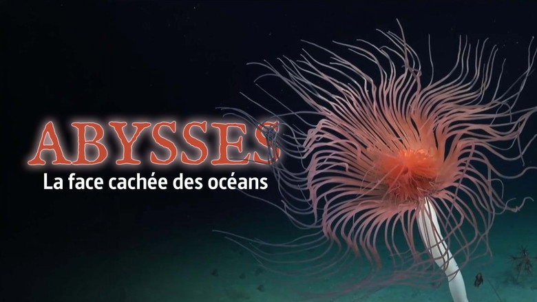 кадр из фильма Abysses, la face cachée des océans
