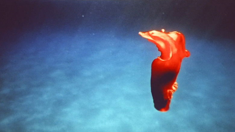 кадр из фильма La quimera de Yemayá