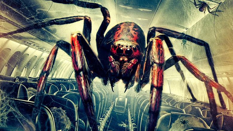 Паучий рейс