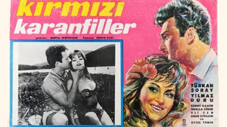 кадр из фильма Kırmızı Karanfiller