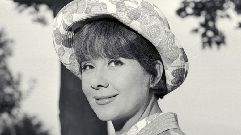 кадр из фильма История моей глупости