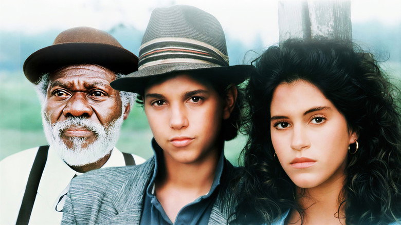 Перекрёстки