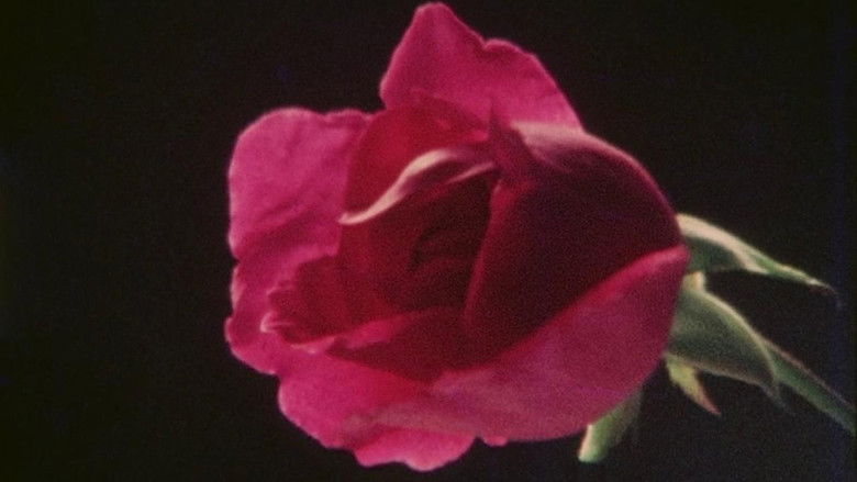 кадр из фильма Vadi-Samvadi