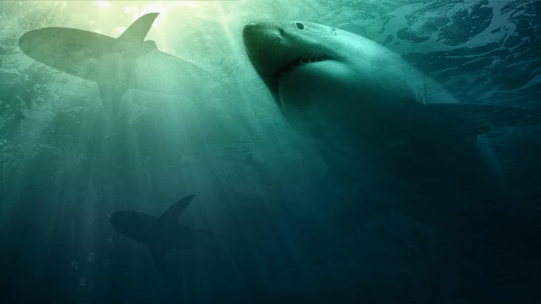кадр из фильма Акула - хищник в камуфляже