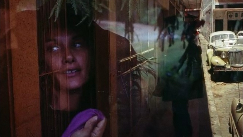 кадр из фильма O Lobisomem: O Terror da Meia-Noite