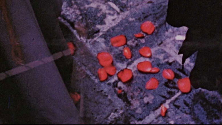 кадр из фильма The Assignation