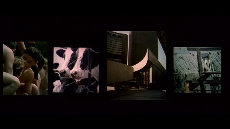 кадр из фильма A Place to Stand