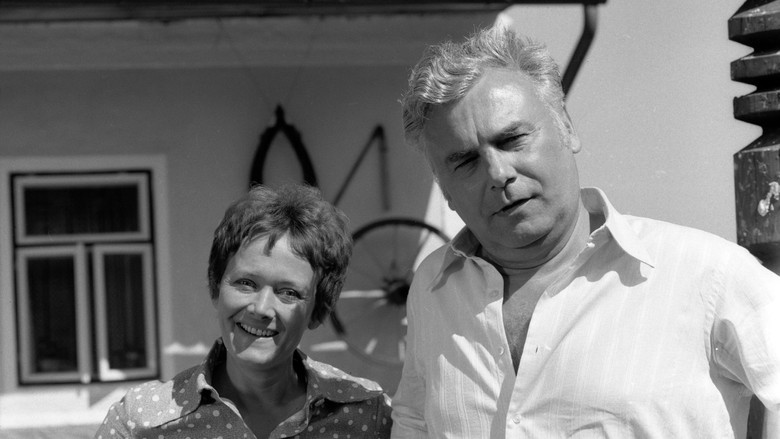 кадр из фильма Holubník