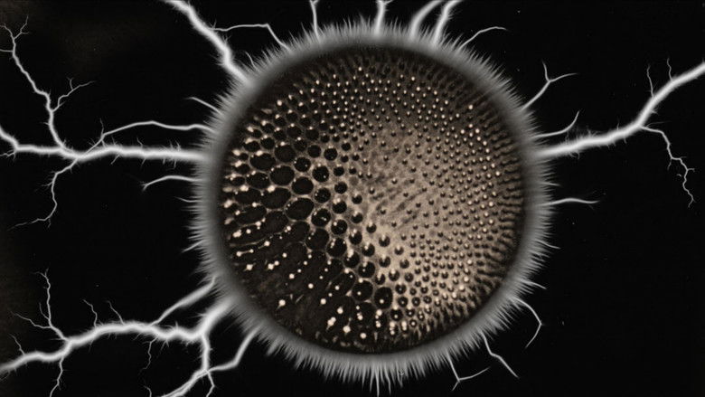 кадр из фильма Pwdre Ser: the rot of stars