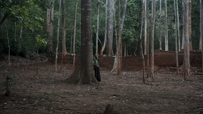кадр из фильма Because Watching Pacifies