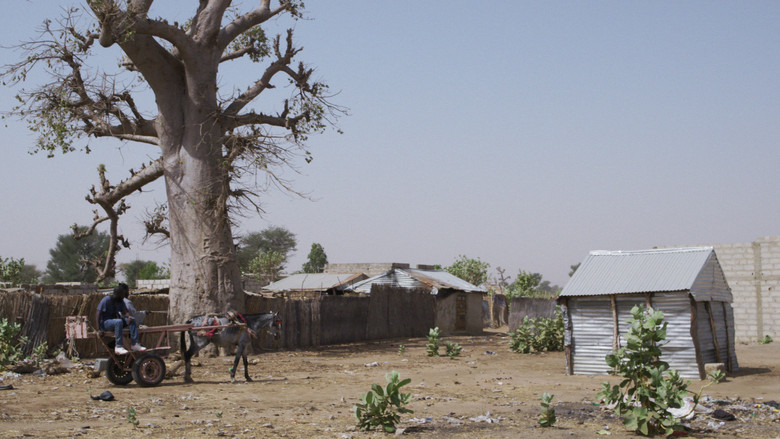 кадр из фильма Lado Lé