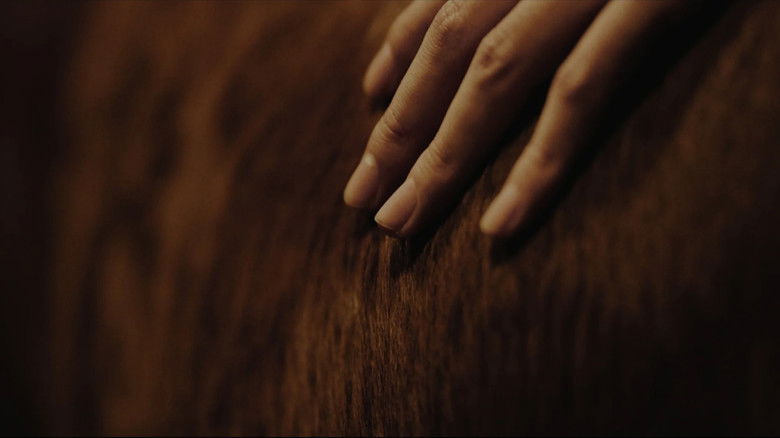 кадр из фильма 菲與林明