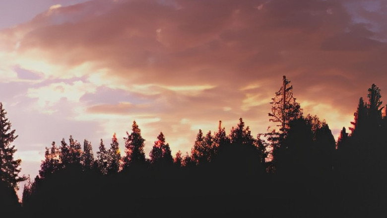 Reflections - Volume 1