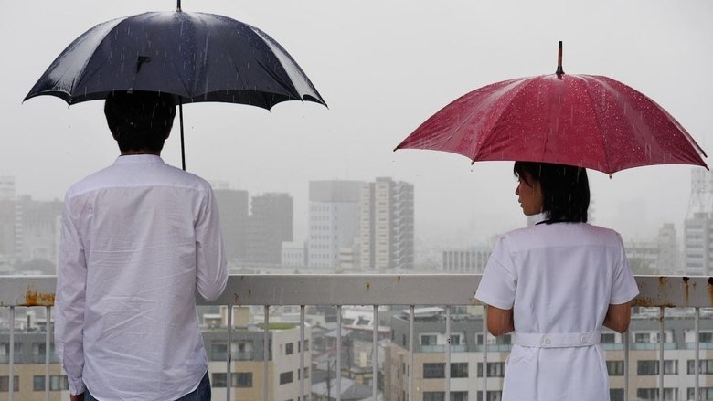 кадр из фильма 君にあえたら 妻の恋人