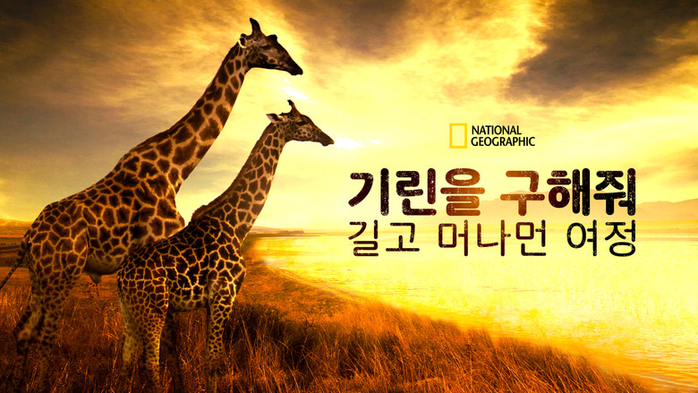 кадр из фильма Saving Giraffes: The Long Journey Home