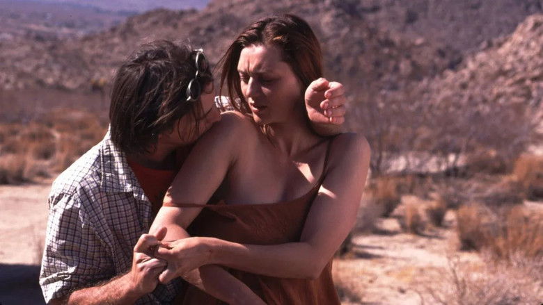 кадр из фильма 29 пальм