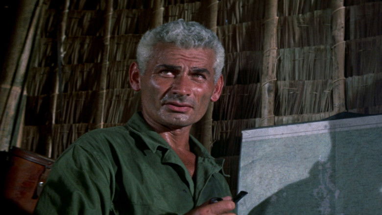 кадр из фильма Мародеры Меррилла