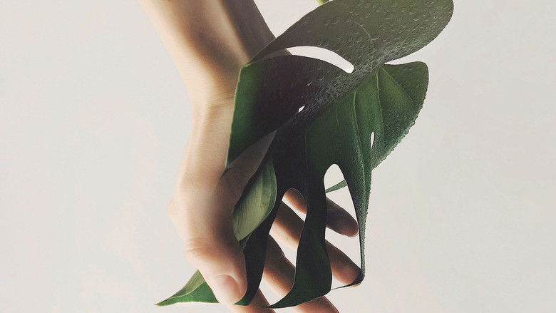 кадр из фильма Régénération