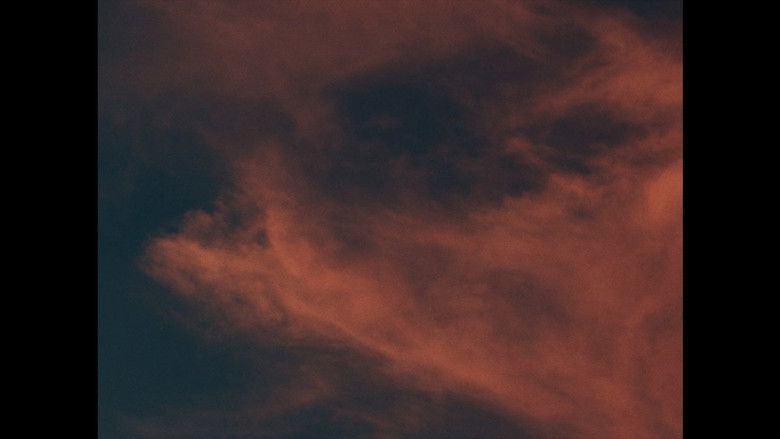 кадр из фильма A Love Story